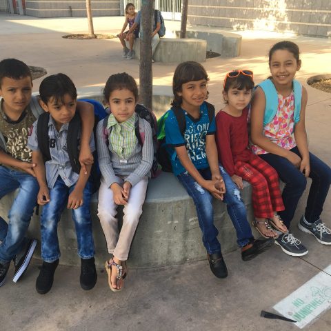 Action Needed: New and Returning Tutors